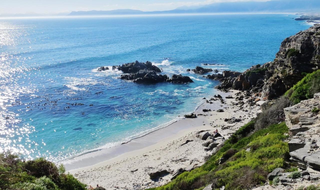 Kleinzee Oceanfront Guesthouse Gansbaai Exterior foto