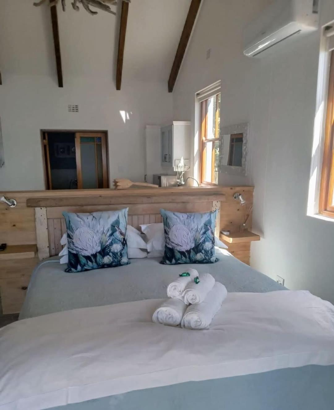 Kleinzee Oceanfront Guesthouse Gansbaai Exterior foto