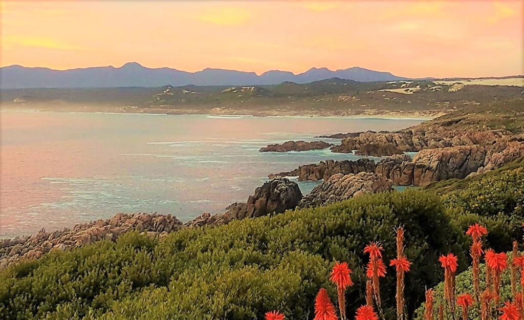 Kleinzee Oceanfront Guesthouse Gansbaai Exterior foto