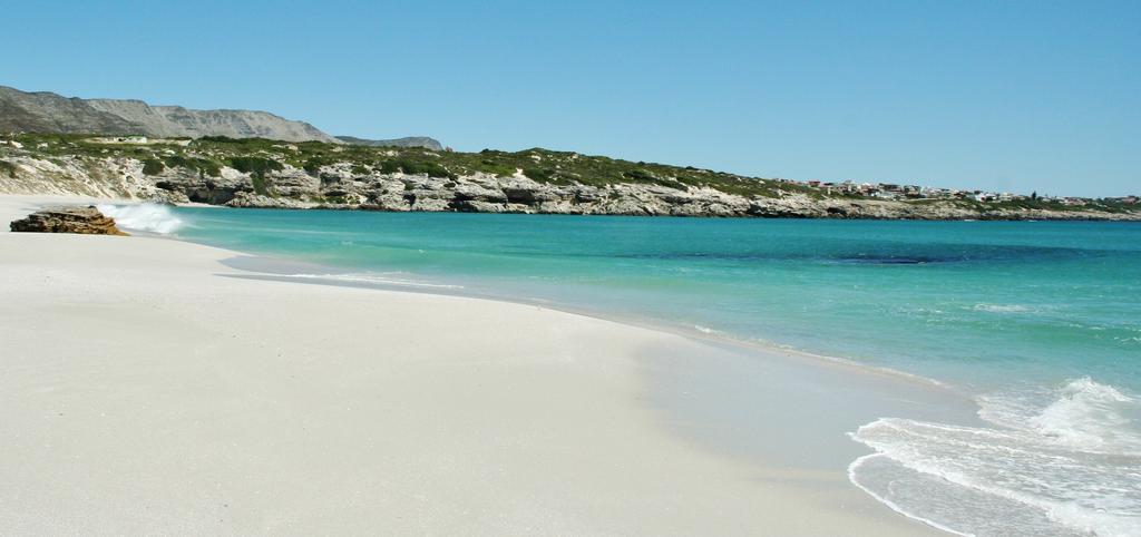 Kleinzee Oceanfront Guesthouse Gansbaai Exterior foto