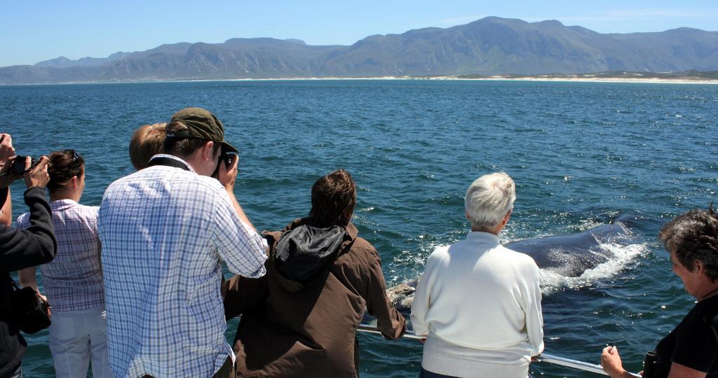 Kleinzee Oceanfront Guesthouse Gansbaai Exterior foto